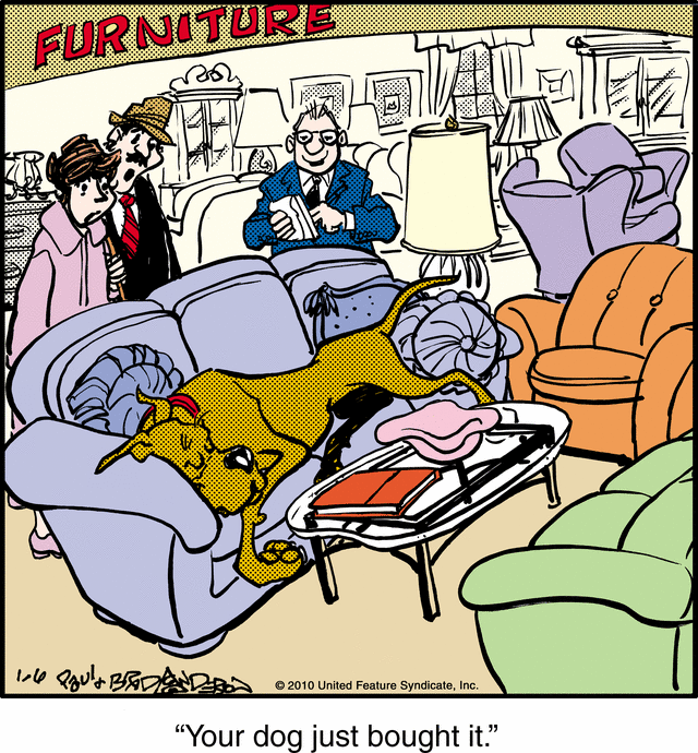 marmaduke
